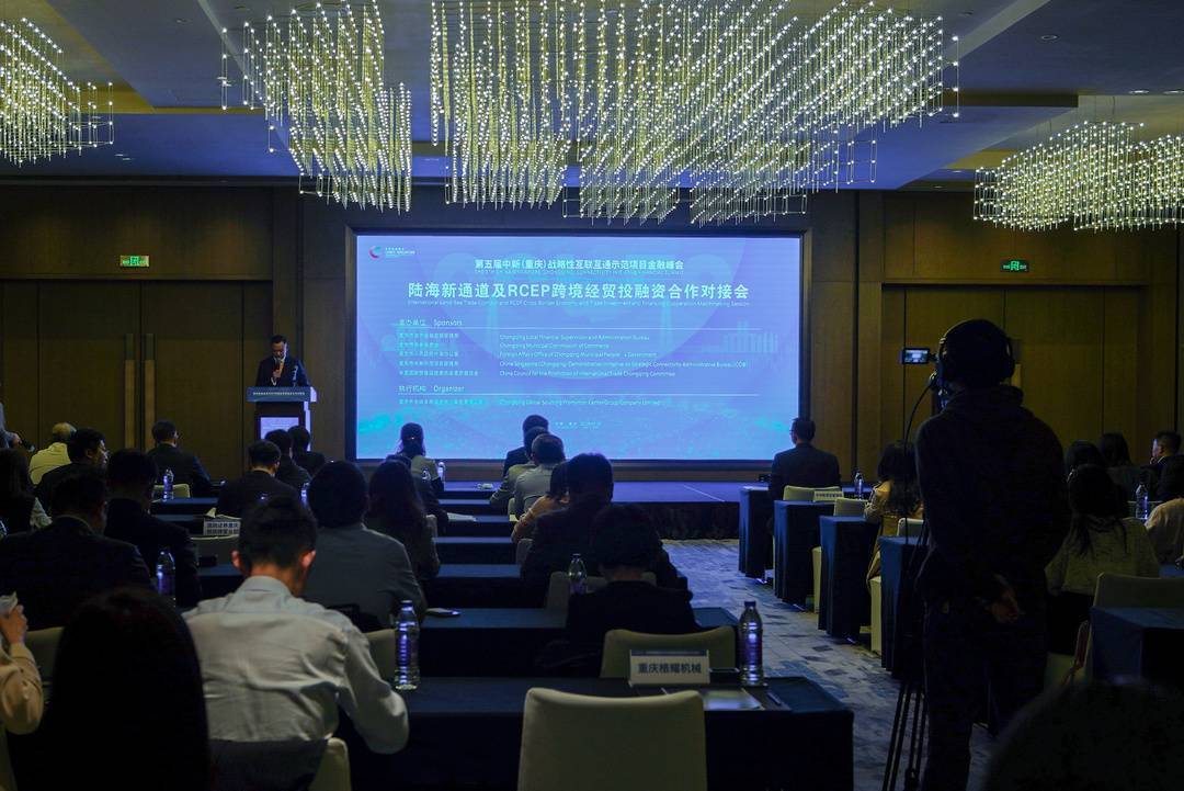 陆海新通道及RCEP跨境经贸投融资合作对接会在重庆举行